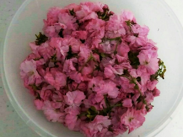 色んな料理に使える 桜の花漬け レシピ 作り方 By 栄養士たっちゃん クックパッド 簡単おいしいみんなのレシピが358万品