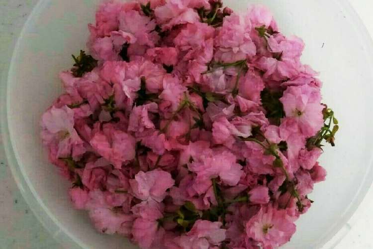 色んな料理に使える 桜の花漬け レシピ 作り方 By 栄養士たっちゃん クックパッド