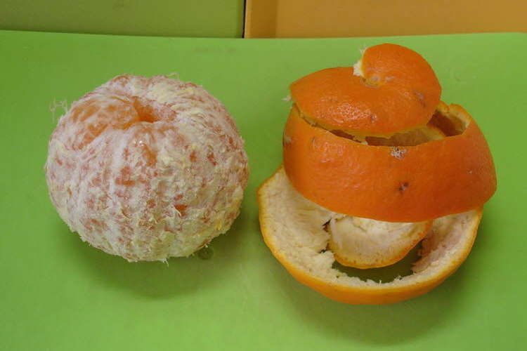 手をあまり汚さずに オレンジ等の皮をむく レシピ 作り方 By クックｋｎ クックパッド 簡単おいしいみんなのレシピが357万品