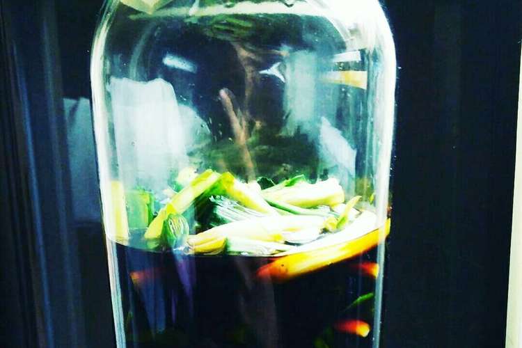 やみつき 行者にんにくの醤油漬け レシピ 作り方 By あなのあいたやさい クックパッド 簡単おいしいみんなのレシピが359万品