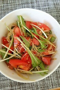 ピリ辛トマトと水菜の春雨サラダ