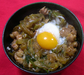 ねぎたっーぷり♪温泉卵 de 親子丼