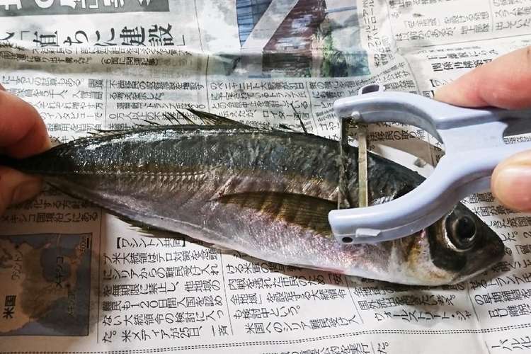簡単 魚のうろこ取り レシピ 作り方 By Ayurio クックパッド 簡単おいしいみんなのレシピが377万品