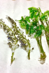 コシアブラ、藤の花 天ぷら