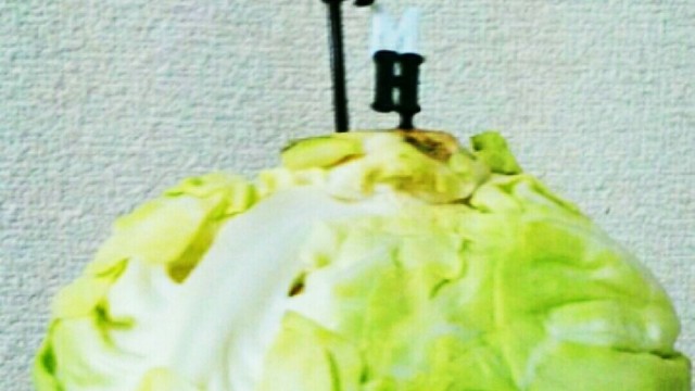簡単 キャベツ保存方法 レシピ 作り方 By Mcocham221 クックパッド 簡単おいしいみんなのレシピが355万品 簡単 キャベツ保存方法 レシピ 作り方 By Mcocham221 クックパッド 簡単おいしいみんなのレシピが355万品