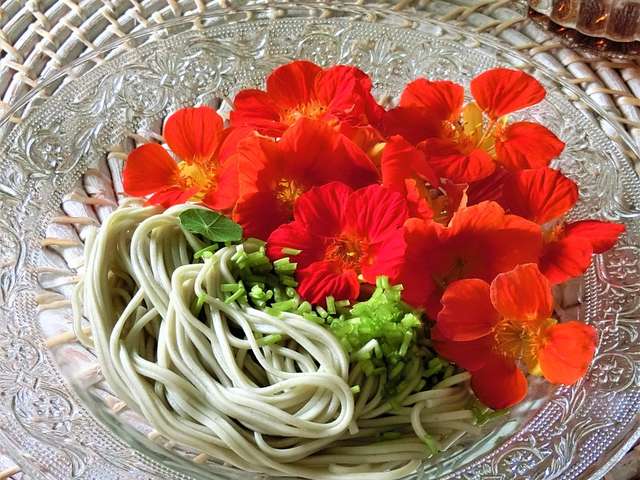 ベストナスタチウム 食用 最高の花の画像