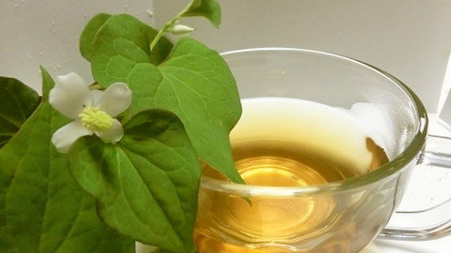 ドクダミ様でお茶しましょ レシピ 作り方 By ふむ ｓcafe クックパッド 簡単おいしいみんなのレシピが357万品