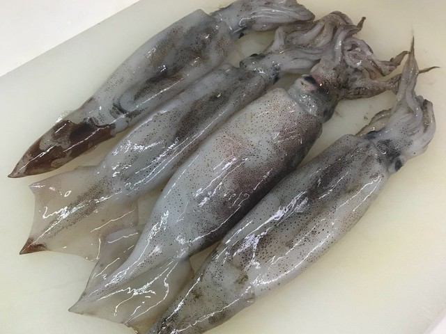 むぎいか するめいか の下処理 レシピ 作り方 By Dentack クックパッド 簡単おいしいみんなのレシピが356万品