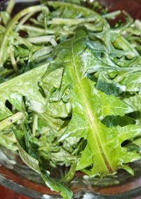 タンポポと水菜の春のサラダ