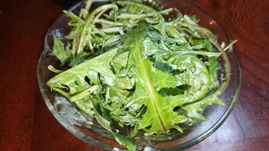 タンポポと水菜の春のサラダの画像
