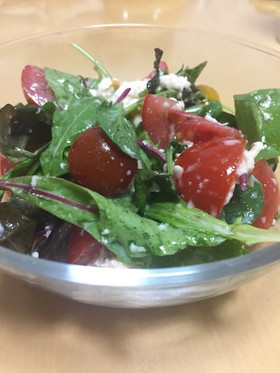 トマトとモッツァレラチーズのサラダ
