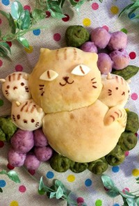 発酵1分！時短パン★お花畑で親子猫パン