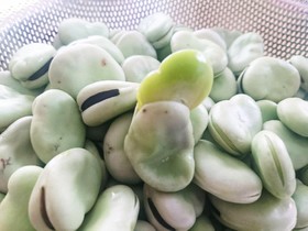 そら豆 基本のゆで方