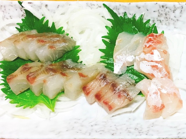 超レア シマイサキのお刺身 レシピ 作り方 By 藤井２１ クックパッド 簡単おいしいみんなのレシピが361万品