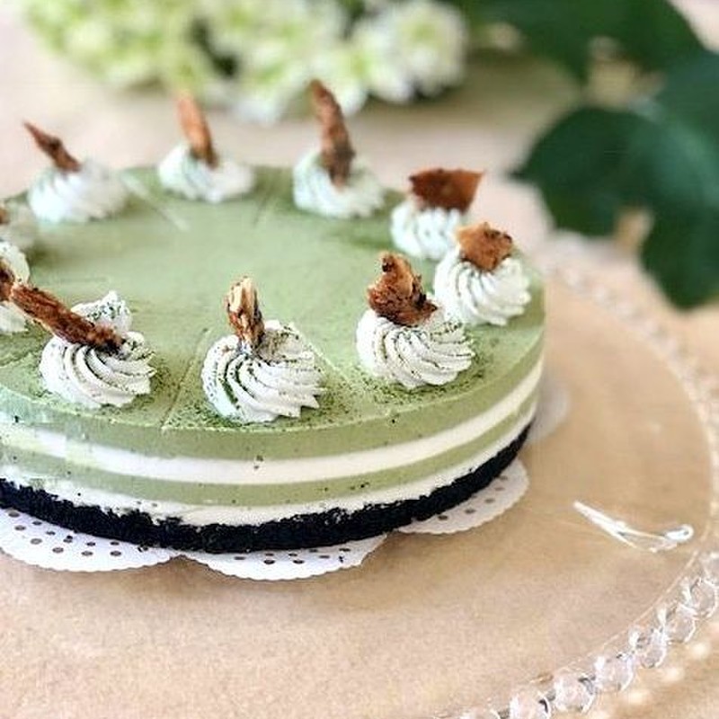 みんなが作ってる 抹茶レアチーズケーキのレシピ クックパッド 簡単おいしいみんなのレシピが350万品