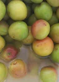 みんなが作ってる かりかり小梅 ジップロックのレシピ クックパッド 簡単おいしいみんなのレシピが358万品