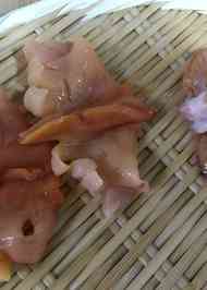 みんなが作ってる サルボウのレシピ クックパッド 簡単おいしいみんなのレシピが359万品