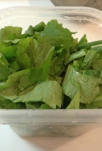 青菜の保存法