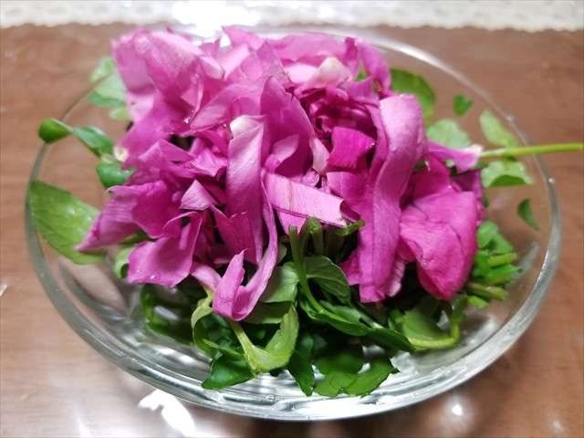 元の花 クレソン 美しい花の画像