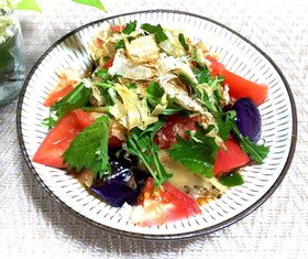 茄子とトマトのおろしサラダ♪