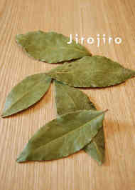 みんなが作ってる 生月桂樹の葉のレシピ クックパッド 簡単おいしいみんなのレシピが349万品