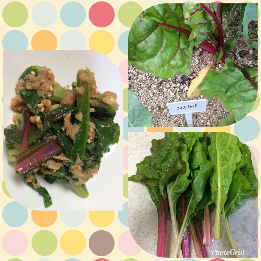 ヒラタケとスイスチャードのフリッタータ レシピ