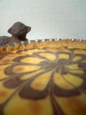 チョコの花咲く✿チーズケーキタルト