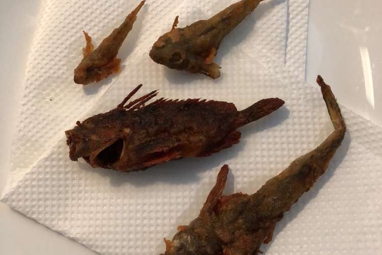有資格者向け 毒魚ハオコゼのから揚げ レシピ 作り方 By ラクラクダ クックパッド 簡単おいしいみんなのレシピが361万品
