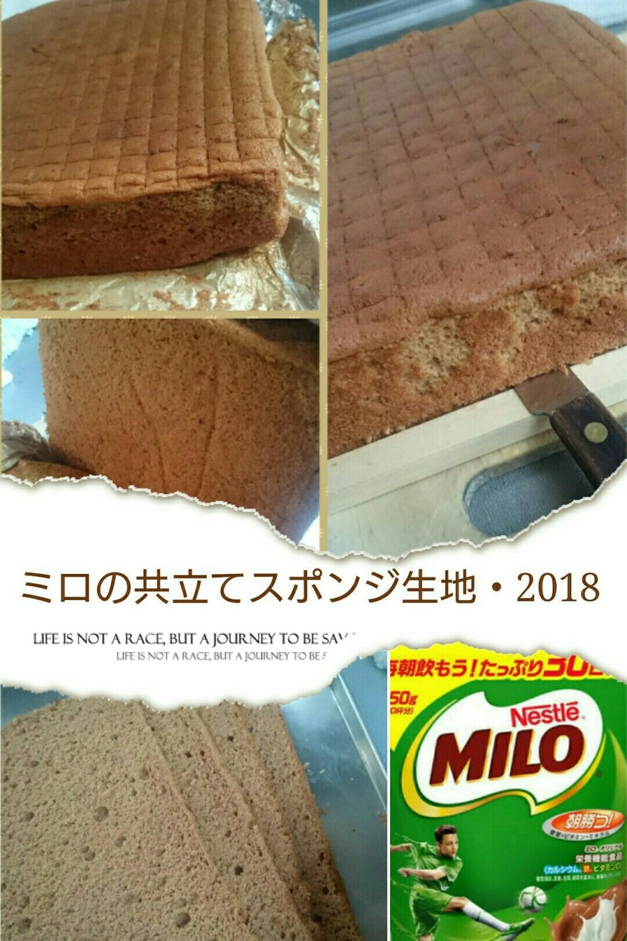 ミロの共立てスポンジ生地・2018年の画像