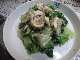 キャベツと鶏ささみの胡麻油香るサッと炒め