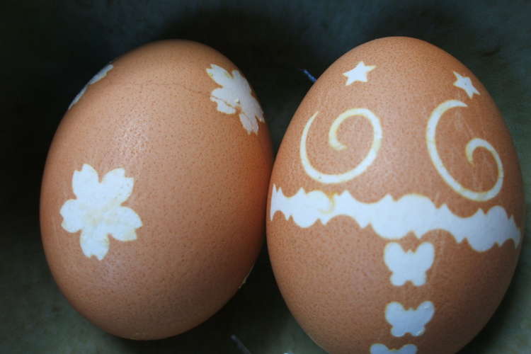 ちょっと可愛い ゆで卵 レシピ 作り方 By ちばたま クックパッド 簡単おいしいみんなのレシピが352万品