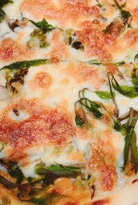 白味味噌風味コシアブラと蕗の薹で山菜ピザ