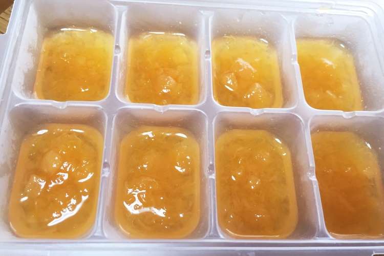 離乳食初期 冷凍可 メロン レシピ 作り方 By 料理ニガテ系女子 クックパッド