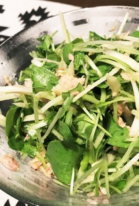 新生姜とダイコンスプラウトサラダ