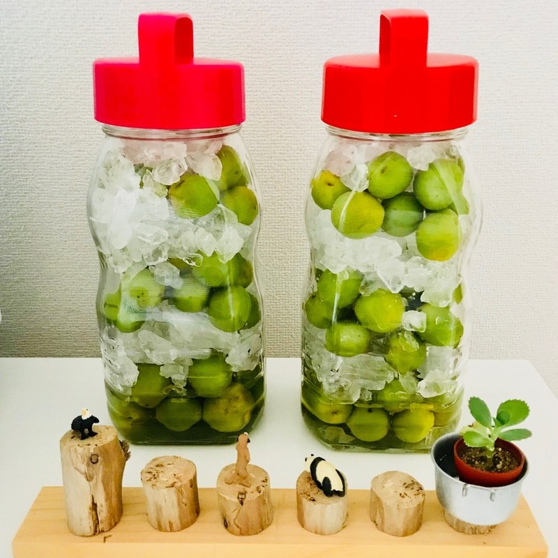 みんなが作ってる 梅ジュース はちみつ 氷砂糖のレシピ クックパッド 簡単おいしいみんなのレシピが360万品