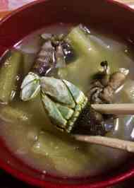 みんなが作ってる 亀の手 みそ汁のレシピ クックパッド 簡単おいしいみんなのレシピが367万品