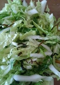 ヤミツキ白菜サラダ