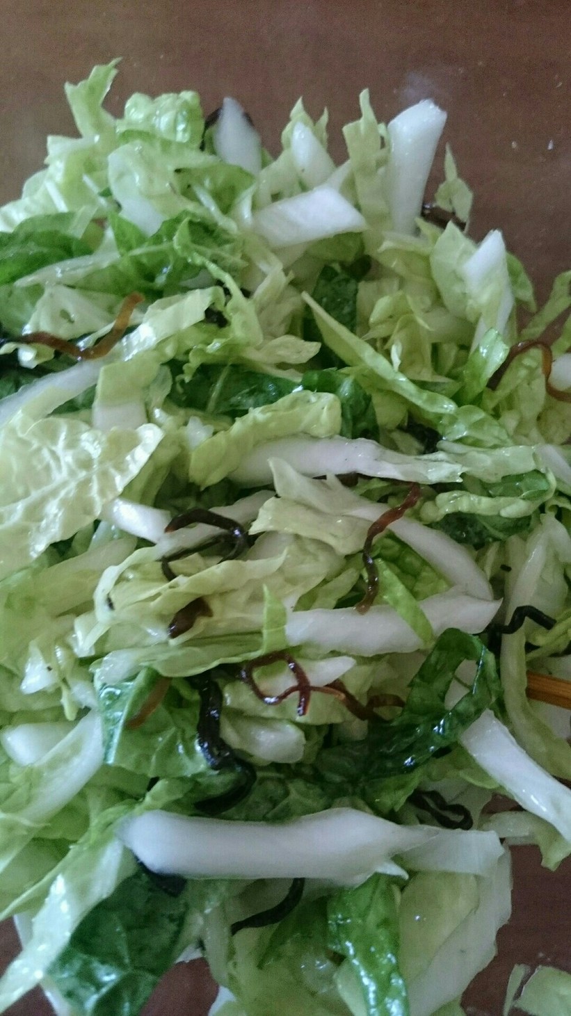 ヤミツキ白菜サラダの画像