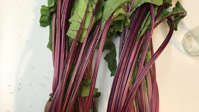 ビーツの茎と葉っぱの下処理 レシピ 作り方 By Rasbery クックパッド 簡単おいしいみんなのレシピが359万品