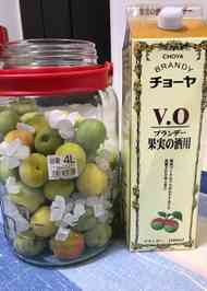 みんなが作ってる ブランデー 梅酒のレシピ クックパッド 簡単おいしいみんなのレシピが355万品