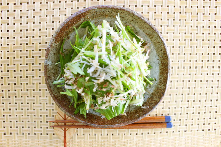 水菜としらすのサラダ レシピ 作り方 By 草加市保健センター クックパッド 簡単おいしいみんなのレシピが366万品