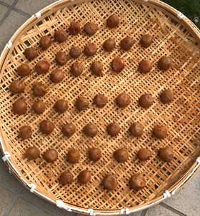 簡単!梅干しの作り方(シソなし白梅干し)