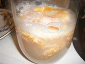 ぽんかん酵母