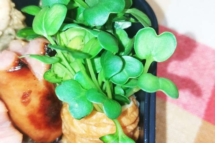 超簡単 お弁当に かいわれのちくわ巻き レシピ 作り方 By ひなひ はは クックパッド