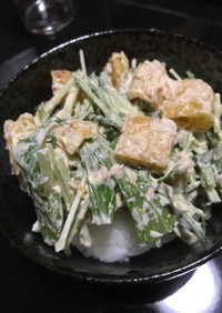 サクサクカリカリ〜水菜と揚げのサラダ丼