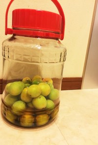 蜂蜜リンゴ酢の梅シロップ