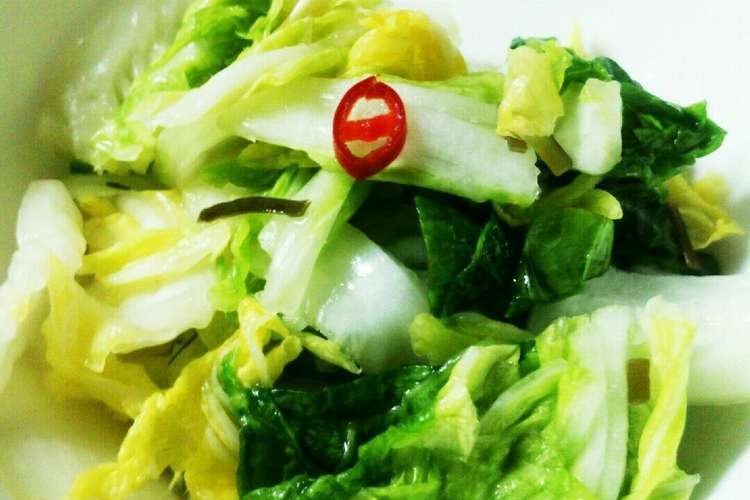 一手間で本格 美味しい白菜の浅漬け レシピ 作り方 By こぶた 食堂 クックパッド