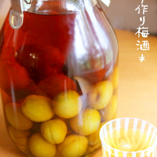 手作り梅酒 冷凍梅で早のみ ブランデー レシピ 作り方 By 草カワセミ クックパッド 簡単おいしいみんなのレシピが351万品