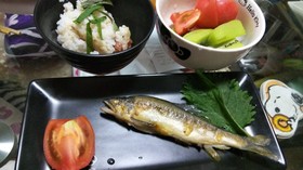 糖尿食 鮎の塩焼き&きんぴらごぼう