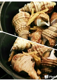 みんなが作ってる つぶ貝のレシピ クックパッド 簡単おいしいみんなのレシピが364万品